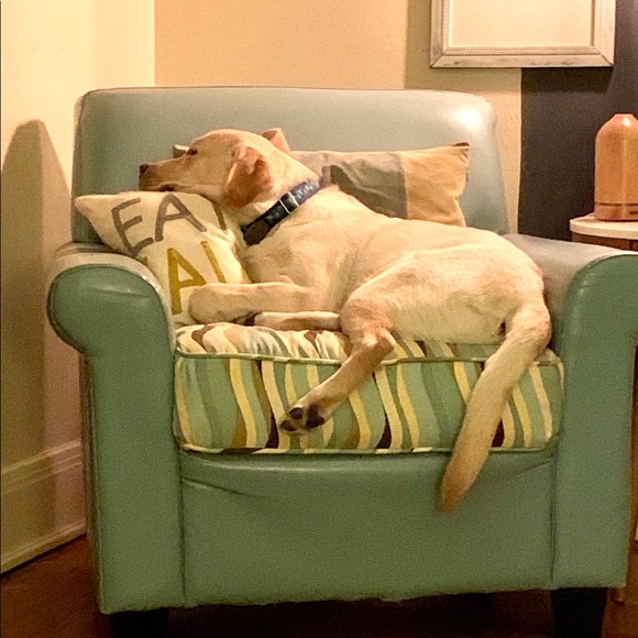 New sidekick trip to the lake .... - Picture 4 of 13